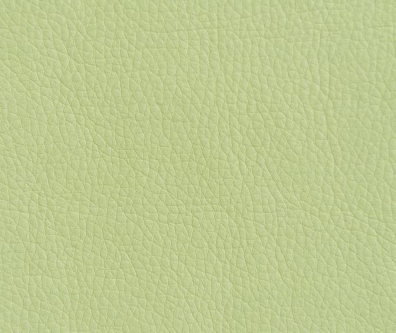 Oregon 33